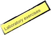 Laboratory exercises